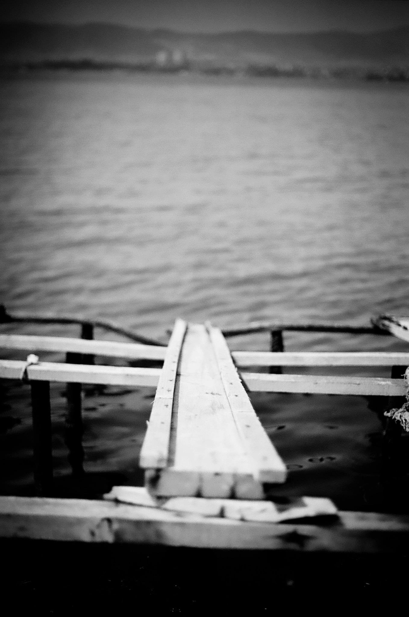 458170 10150807179298564 1558741090 o