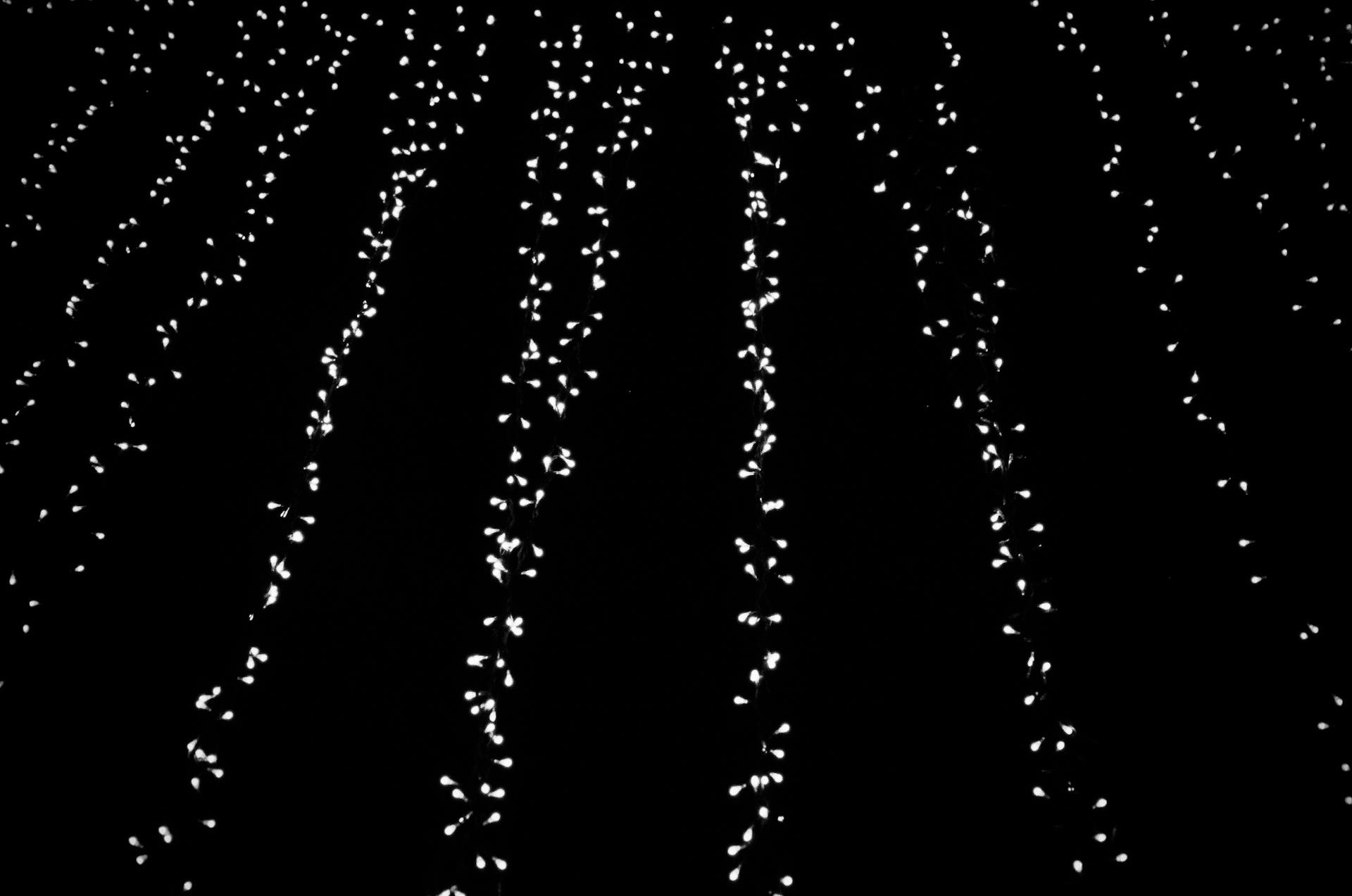 337959 10150494180943564 549758563 8968665 510242813 o