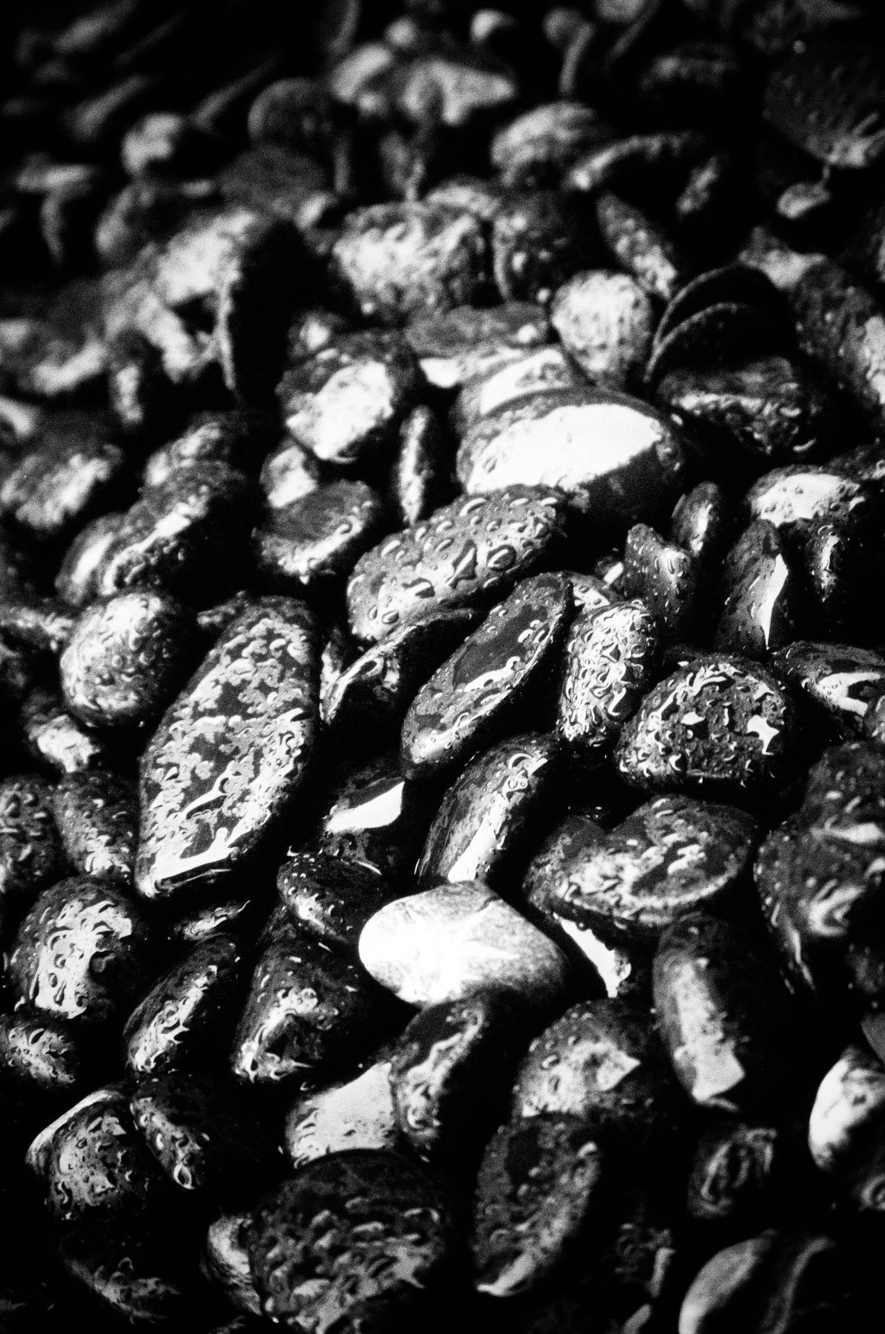 415000 10150494203843564 393982945 o