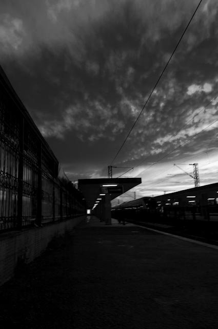 Facebook photo download 2361195048785462504