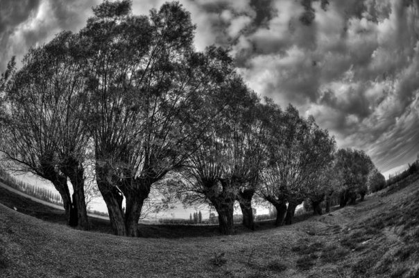 Facebook photo download 2361195048782061377