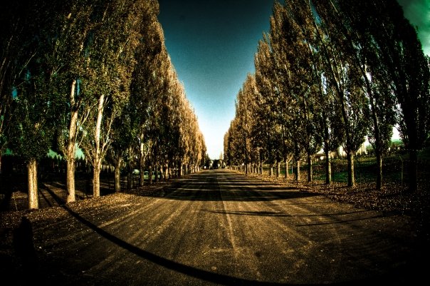 Facebook photo download 2361195048782156037