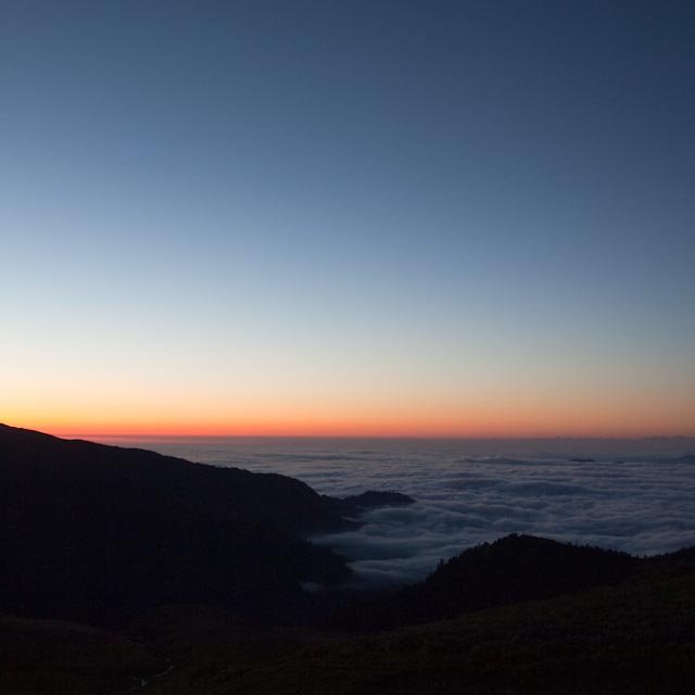 Facebook photo download 2361195048785107894