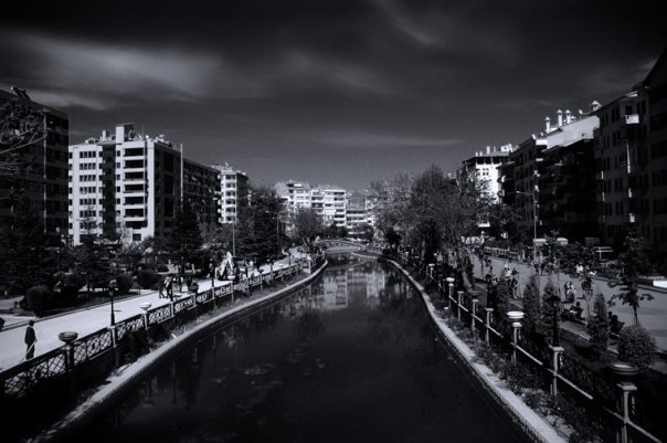 Facebook photo download 2361195048782080614