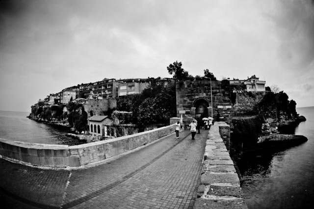 Facebook photo download 2361195048784786305