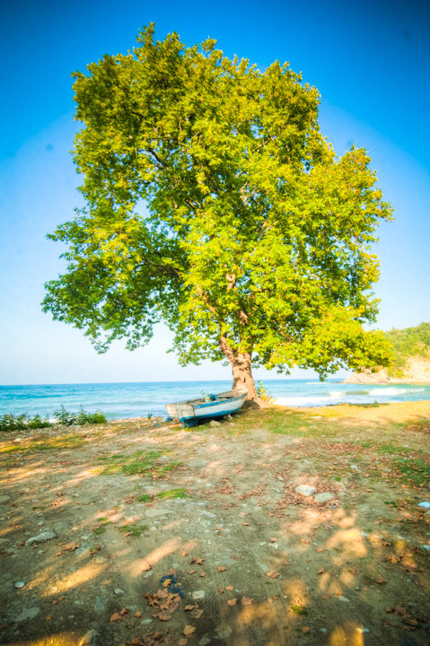 Facebook photo download 2361195048786202482