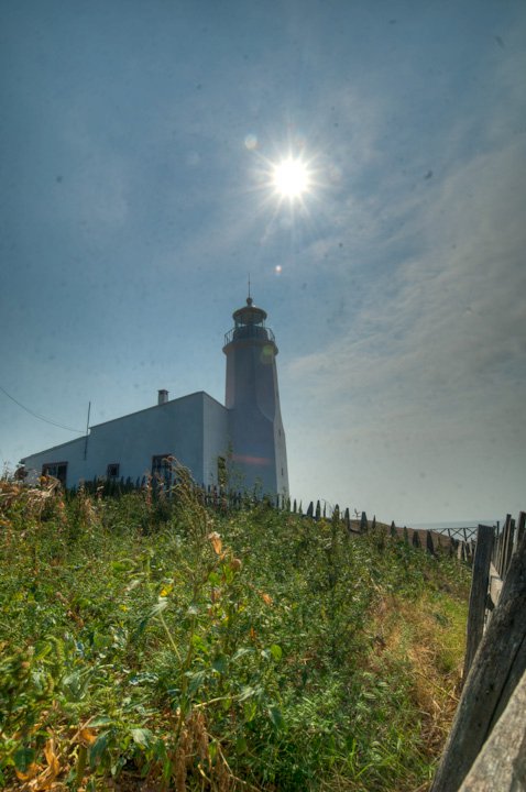 Facebook photo download 2361195048786581789