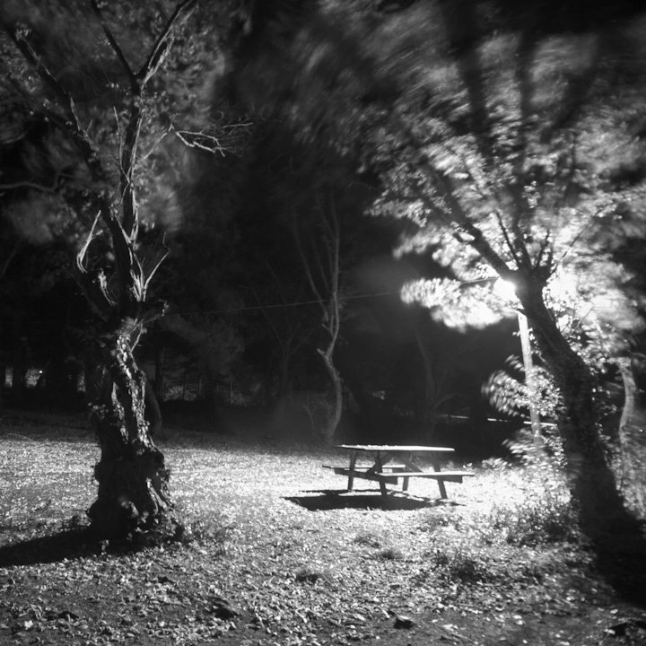 Facebook photo download 2361195048786581797